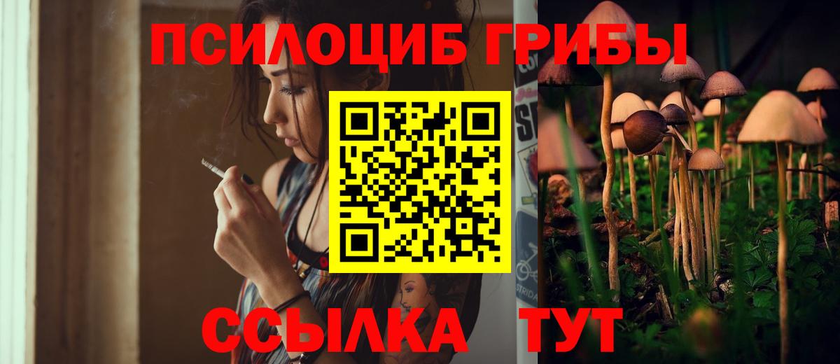 Еманжелинск  Псилоцибиновые грибы GOLDEN TEACHER  Вход с VPN  Псилоцибиновые грибы ЛСД 